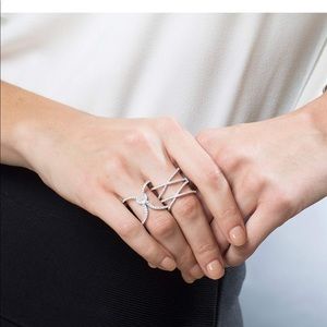 Double criss cross ring